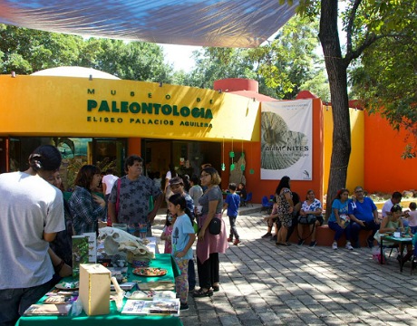 Celebra Semahn 21 aniversario del Museo de Paleontología Eliseo Palacios Aguilera