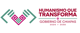 Humanismo que Transforma