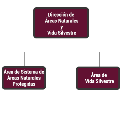 Secretaría de Medio Ambiente e Historia Natural