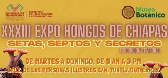 XXXIII EXPO HONGOS DE CHIAPAS 