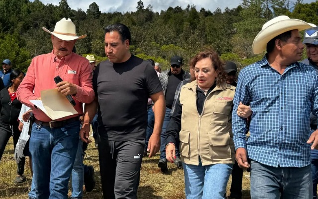 Supervisión de las obras del Proyecto de Restauración y Saneamiento de Microcuencas en Zaragoza la Montaña