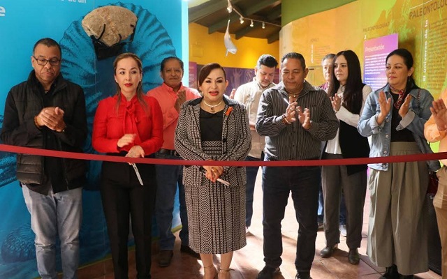 ¡Nueva exposición en el Museo de Paleontología!