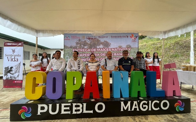 ¡Nuestras semillas vuelven a casa! 