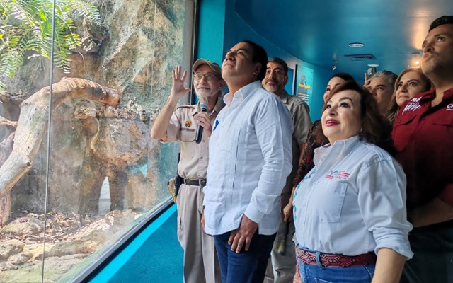 Nuevo comienzo, nueva historia