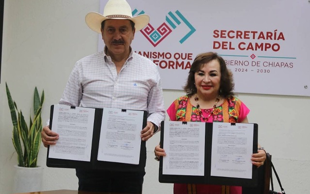 Sinergia institucional por la prevención de incendios forestales