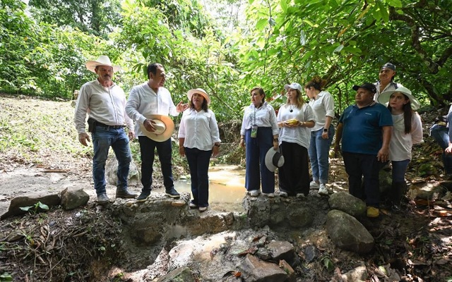 Devolverle fuerza al suelo es devolverle futuro a Chiapas