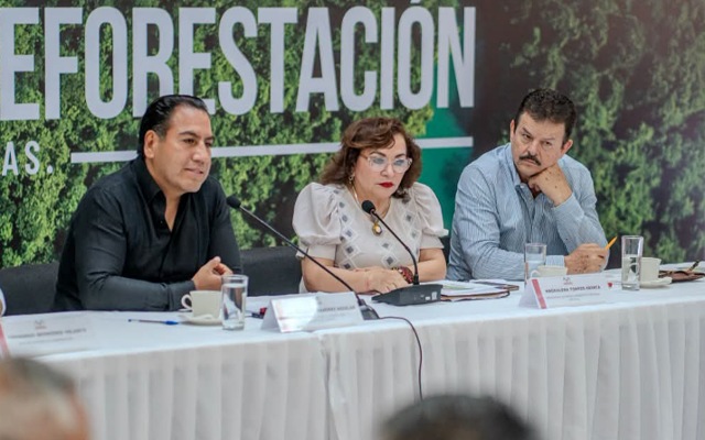 Chiapas reforesta