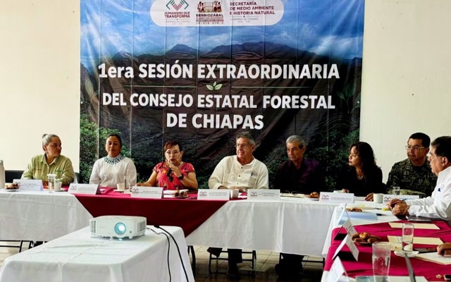 Acciones por el futuro forestal de Chiapas