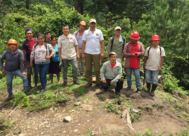 Se combaten plagas y enfermedades forestales en bosques y selvas de Chiapas