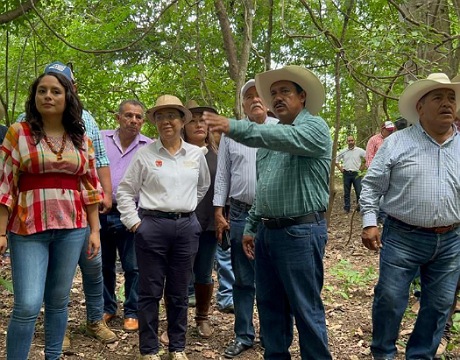 Impulsa Semahn acciones de protección y desarrollo de la Reserva Natural Comunitaria Rivera de Chalchí  