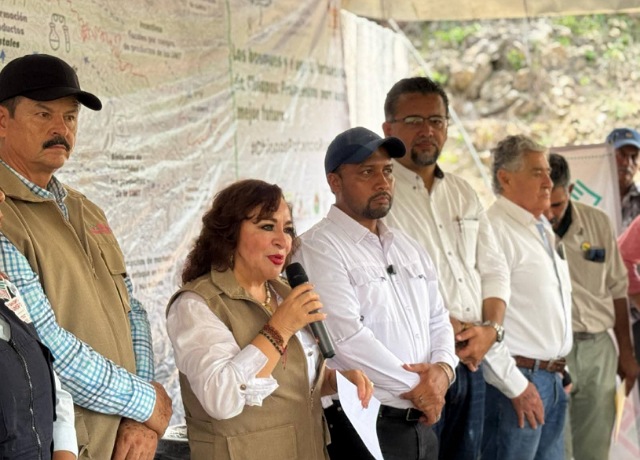 Chiapas avanza hacia el liderazgo nacional en conservación ambiental