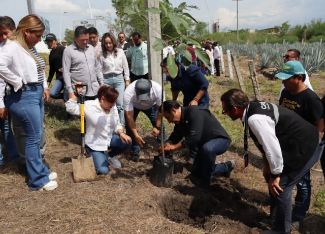 Sembramos futuro: Inicia reforestación con especies nativas para embellecer más a Chiapas
