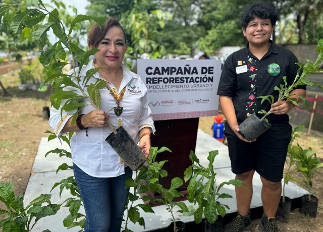 Aquí germina el futuro: Raíces de Chiapas en Tapachula