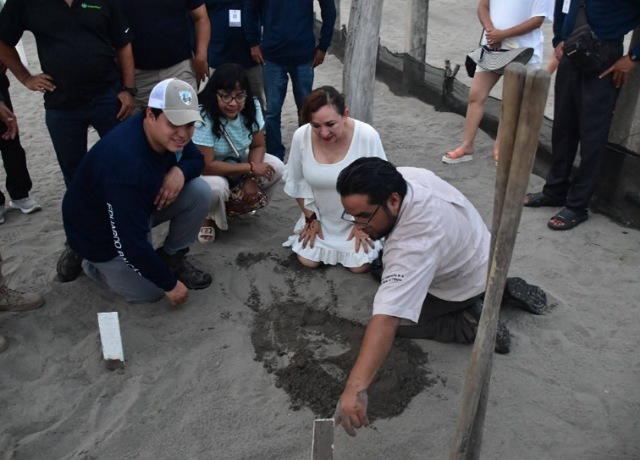 En las costas de Chiapas, cada grano de arena es un guardián de vida