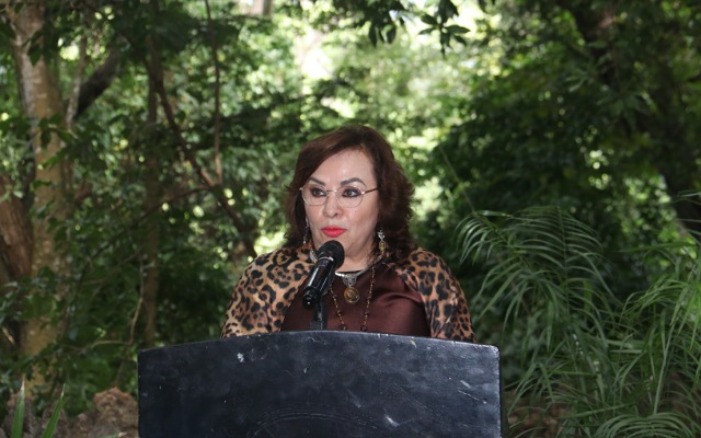 Foro Regional sienta las bases para un nuevo ambientalismo mexicano desde el Sureste
