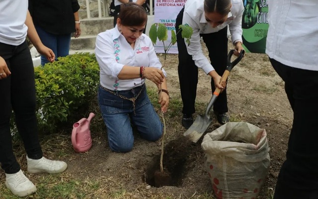 Reforestación responsable con plantas nativas: sembrando conciencias