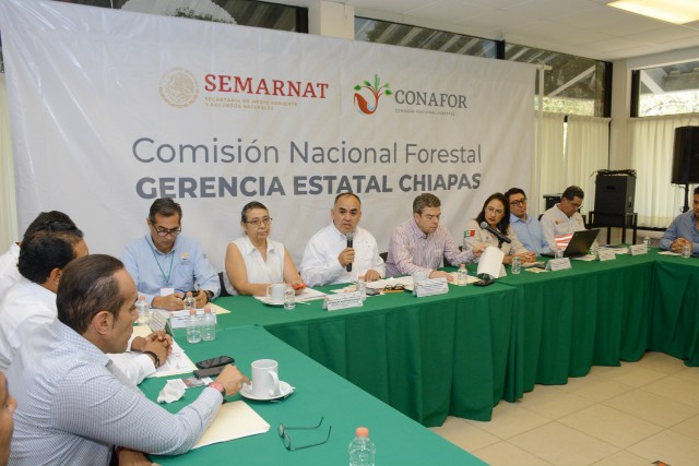 En Chiapas se intensifican estrategias de prevención y combate de incendios forestales y pastizales