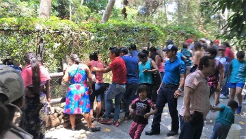 Más de 43 mil personas visitaron el ZooMAT durante el periodo vacacional 