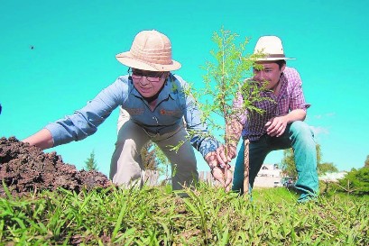 Chiapas supera meta de más de un millón de árboles sembrados