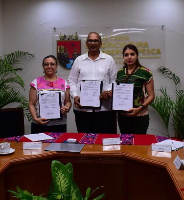 Semahn, SAGyP y CATIE acuerdan trabajar en conjunto contra el cambio climático