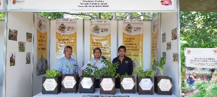 La Dir. de Gestión, Investigación y Educación Ambiental de la SEMAHN, participa en la Jornada Nacional del Conocimiento, organizado por el ICTI.