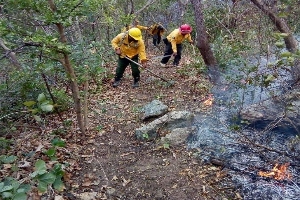 Liquidado incendio forestal en el ejido Calera, municipio de Arriaga