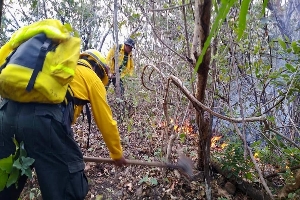 Liquidan incendio forestal en Tonalá