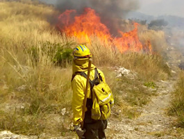 Hay dos incendios forestales activos en los municipios de Chiapa de Corzo y Escuintla