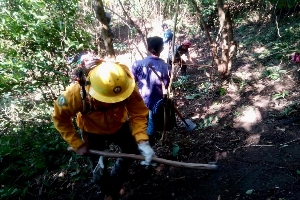 Activos dos incendios forestales en los municipios de Escuintla y Villa Comaltitlan