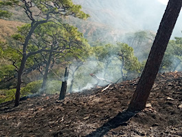 Incendio liquidado en Arriaga