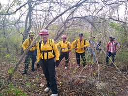 Incendios forestales activos en Arriaga y Huixtla