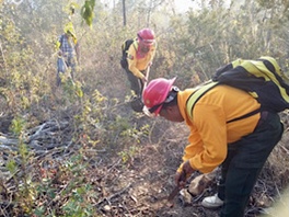 Incendios activos en Comitán y Jiquipilas