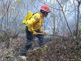 Activos dos Incendios forestales en Cintalapa y Jiquipilas