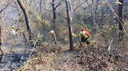 Incendio Forestal activo en La Concordia