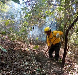 Incendo Forestal activo en Tonalá