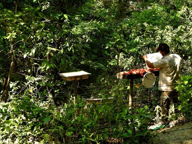 Semahn mantiene medidas de bioseguridad en el cuidado de la fauna resguardada en el ZooMAT