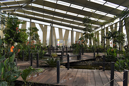 Supervisa Semahn conservación de la colección de plantas en Orquidiario y Jardín Botánico de Comitán