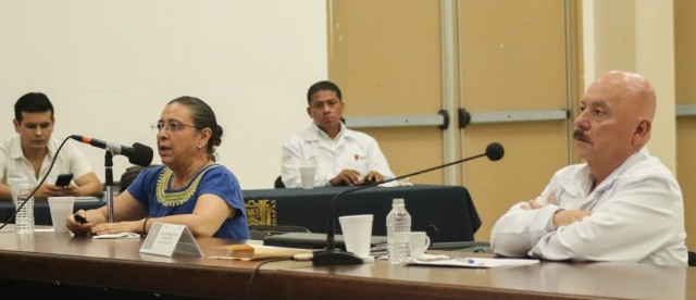 Comité Estatal para la Seguridad en Salud aprueba Plan de Regreso a Actividades, presentado por la titular de la #SEMAHN, María del Rosario Bonifaz Alfonzo.
