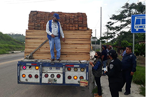 Continúa Semahn operativo contra el tráfico y comercialización ilegal de madera