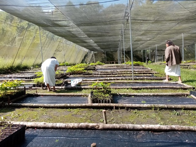 Más de 9 mil hectáreas beneficiadas por el Proyecto de Servicios Ambientales