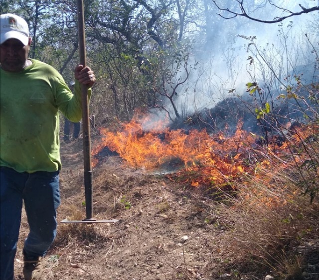 En Chiapas, registra Cecif cuatro incendios forestales en lo que va de 2021