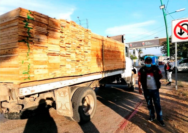 Chiapas avanza en el aprovechamiento forestal