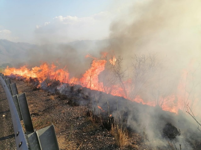 Registra el Cecif 30 incendios forestales