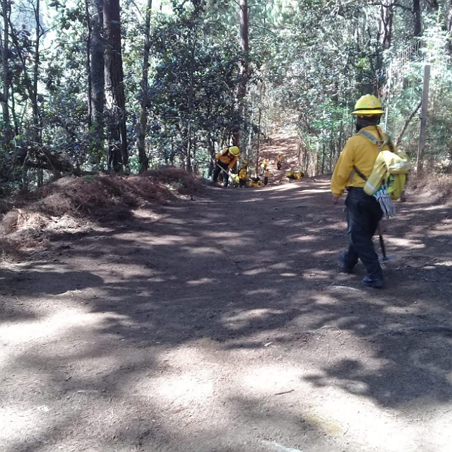 El Cecibach realiza labores preventivas ante incendios forestales