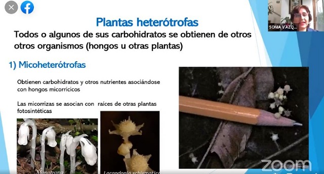 Continúa el Foro Virtual de Medio Ambiente: Retos del Siglo XXI 