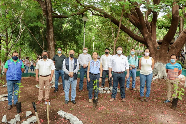 La Semahn realiza acciones de reforestación para conmemorar el Día Mundial del Medio Ambiente