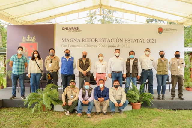 Con el Programa Estatal de Reforestación se plantarán más de un millón 200 mil plantas en Chiapas