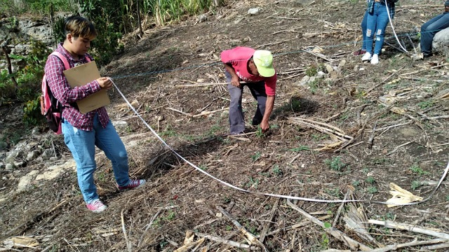 Semahn implementa parcelas demostrativas de milpa en Copainalá