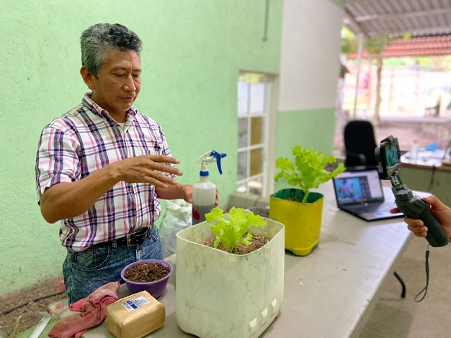 Realizan el Taller Virtual Huertos Urbanos para promover alternativas de producción orgánica