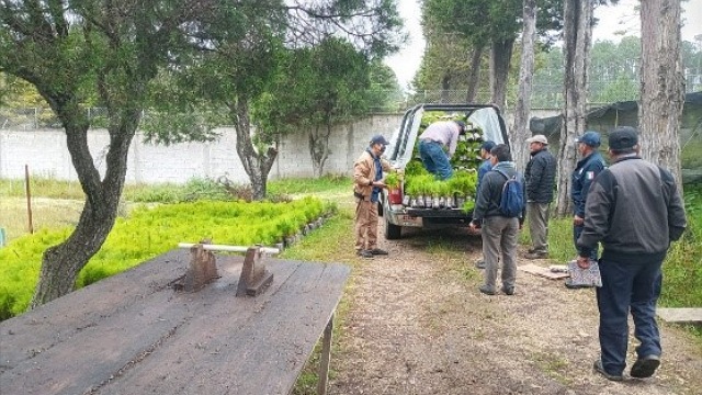 SEMAHN entrega 20 mil plantas forestales para reforestar ejidos en El Porvenir